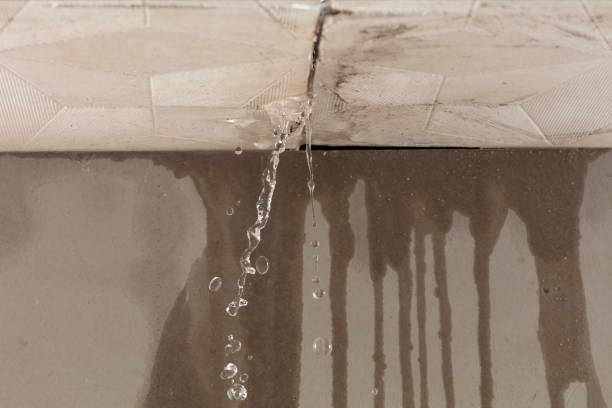 Professional Structural Drying technician working in Lancaster, NH